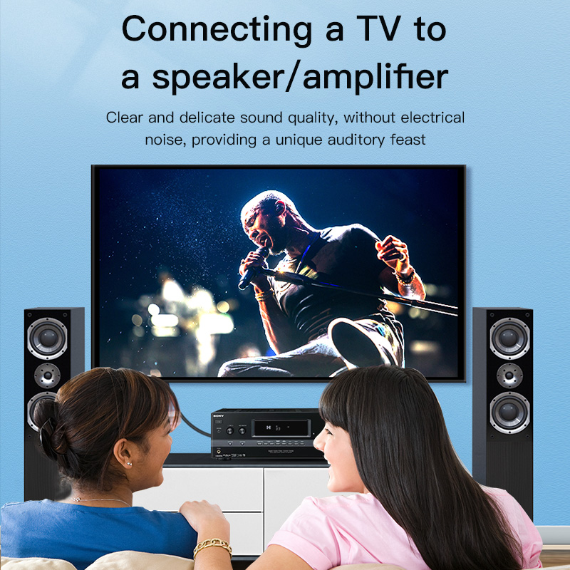 Kabel RCA Digital Coaxial Audi – Home Cinema Tv recenzja i cena